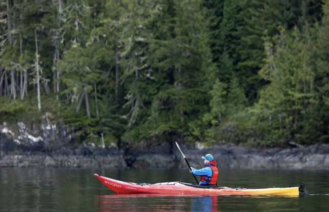 Full Day Kayaking with Whales Tour - Foto 1