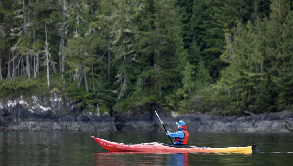 Full Day Kayaking with Whales Tour - Foto 1