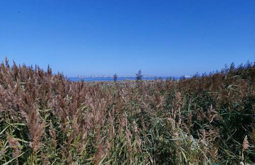 Alte Schule Waddens - Foto 10