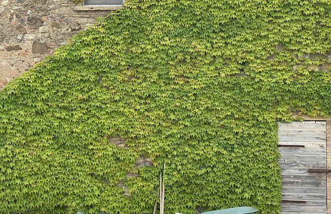 Relais Sant'Elena - Foto 67