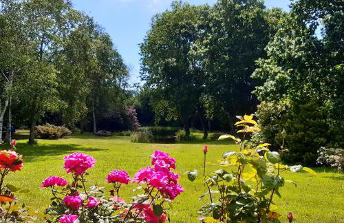 Agapè, élégant T2, 4 étoiles, plage et GR34 3km, centre ville 750m - Foto 31