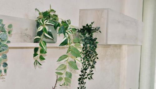 Casa tua a Pergusa - Foto 5