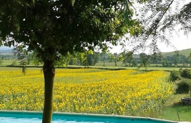 Verdidea - Casalunga - Foto 28