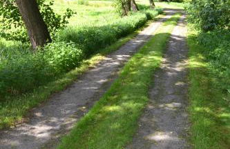 Ferienwohnung Süderfeld - Foto 75