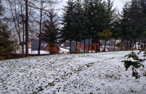 Mały Domek & Chatka Panorama - Foto 38