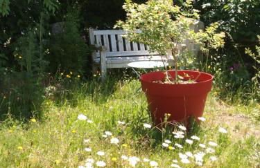 Maison Haute - Foto 14