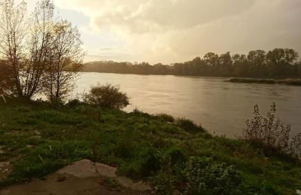 LE MAS maison vue sur Loire jardin 4 - Foto 56