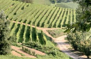 La magia delle Langhe appartamenti con vista - Foto 28