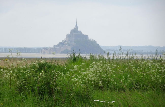 Manor in Cotentin With Historic Charm - Foto 36