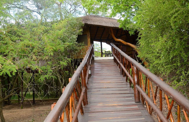 Pezulu Tree House Lodge - Foto 64