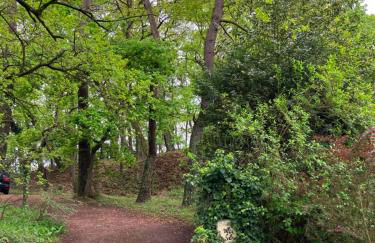 VILLA LE TOUQUET EN FORET - Foto 35