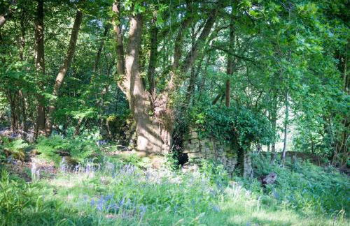 Secluded and self-contained Room with a View - Foto 11