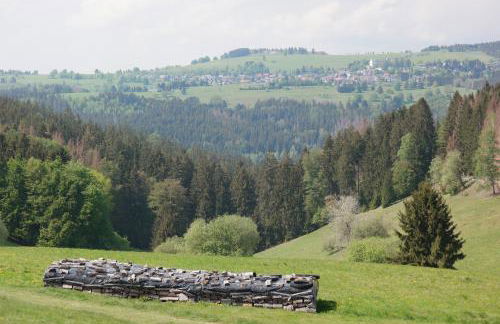 Ferienwohnung Werraquell Hütte - Foto 10