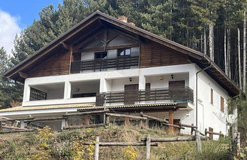 Tra il bosco e il lago - Foto 23