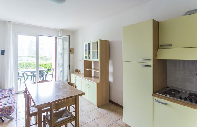 Calycanthus - Foto 24