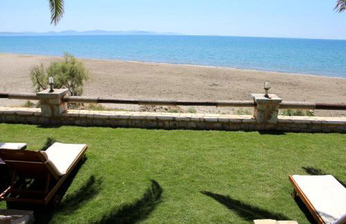 Konstantinos - Photo 17