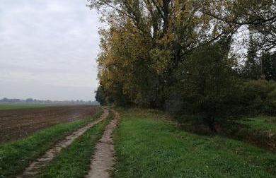 Ferienwohnung Monteurzimmer - Foto 25