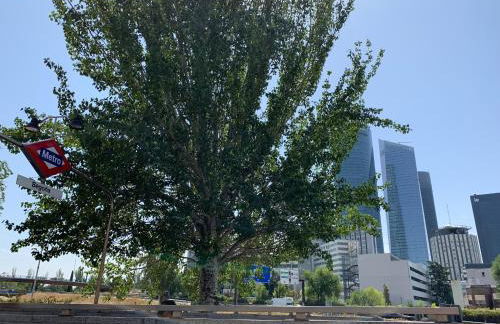 4Torres Homes - Laura - Foto 22