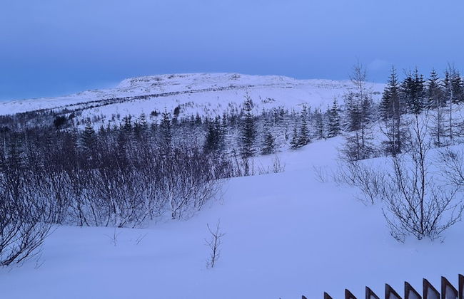 Gljúfurbústaðir - Photo 29