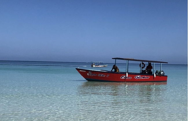 Seacret Studios - Cozy Jamaican Retreat Apts by RedAwning - Photo 23