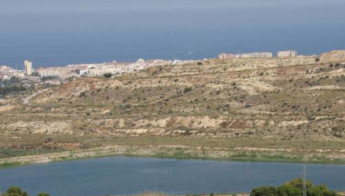 Cala Golf - Foto 3, Garden view