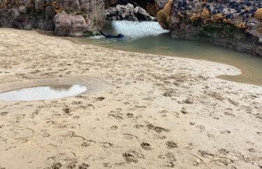 Morwenna Lodge - Waves of the Ocean - Foto 18