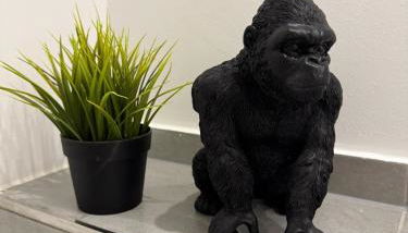 Penthouse mit Sauna, Jacuzzi & Tischkicker - Photo 4