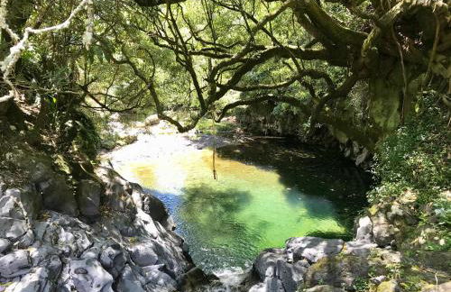 Casa da Cascata do Segredo - Photo 20