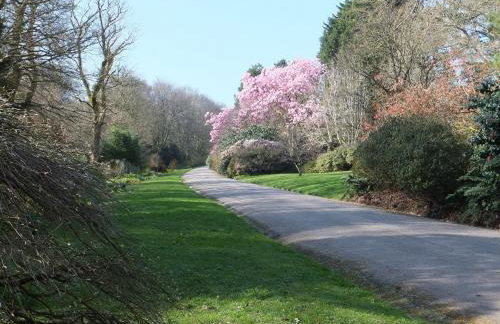 Romantic hideaway in old harbour area - Foto 21