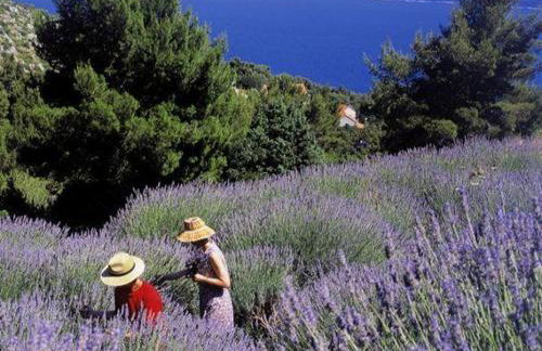 Holiday Home Antonija - Foto 47