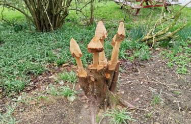 Kirkton Cottage whole house in Cairnie Aberdeenshire - Photo 38