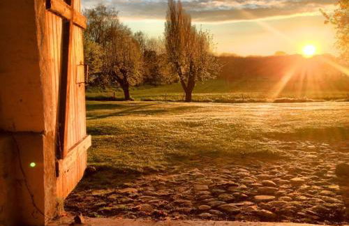 Rosenhagen in the Thorstorf estate barn - Foto 15