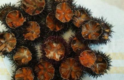 Michelle House - Foto 55