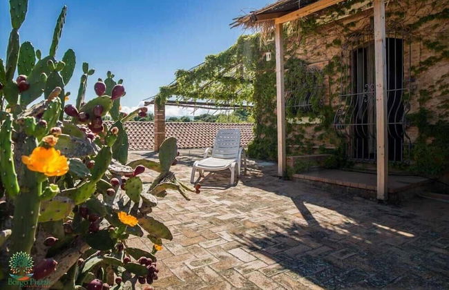 agriturismo borgo piazza - Foto 30