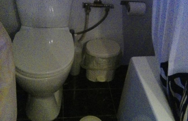 Vintage house - Foto 12