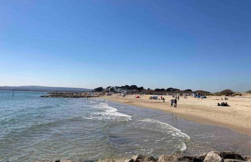 Holmans NEW FOREST - Photo 9