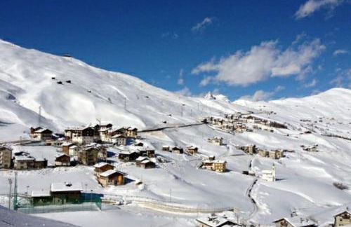 Brother Sun - Trepalle - Foto 24