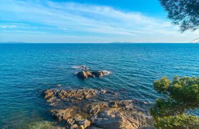 Charmant Studio - Foto 13