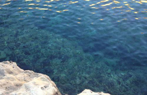 Figoli guesthouse - Foto 15