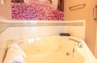 Smoky Mountain Excellence By Avada Properties - Foto 39