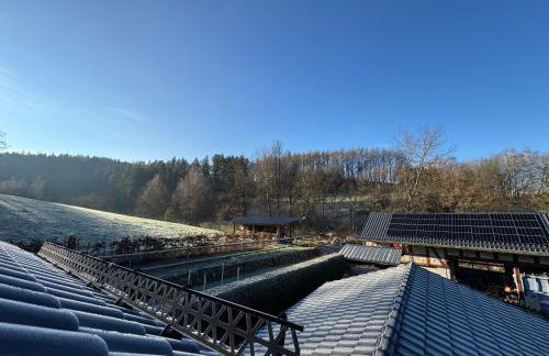 Entspannung im Wald - mit Schwimmbad - Foto 9