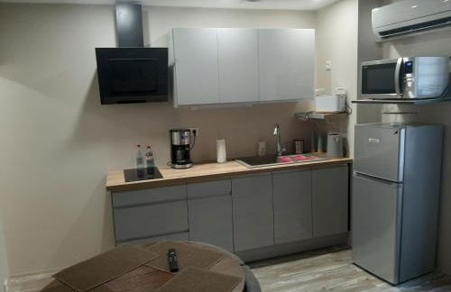 3 Apt T2 COSY de 40 à 50 M2 Idéal pour un déplacement PRO " Les IRIS " - Foto 36