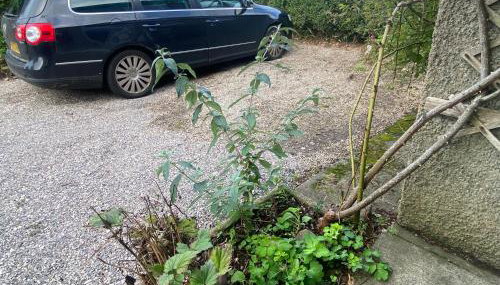 Yealand Redmayne 3 bed Home - Foto 4