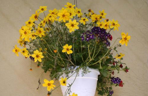 La casa di Rachele - Photo 12