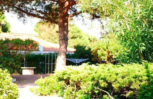 Appartamento in Villa Valentini- Fronte mare, Giardino e Parcheggio privato, WIFI, dotato di tutti i confort, nel Cuore del Golfo di Gaeta - Foto 8