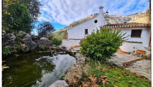 Saluda Alta - Foto 3