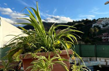 La Trinidad - Foto 14