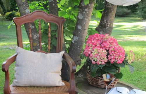 No Meio da Natureza - Turismo No Espaco Rural - Foto 28