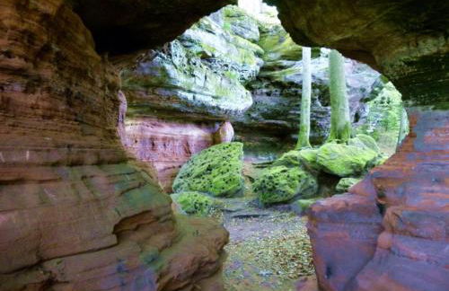 Monte Noble II - Foto 9