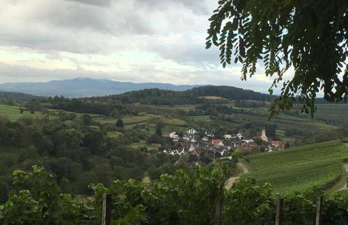 Holiday Apartment Bombach - Foto 8